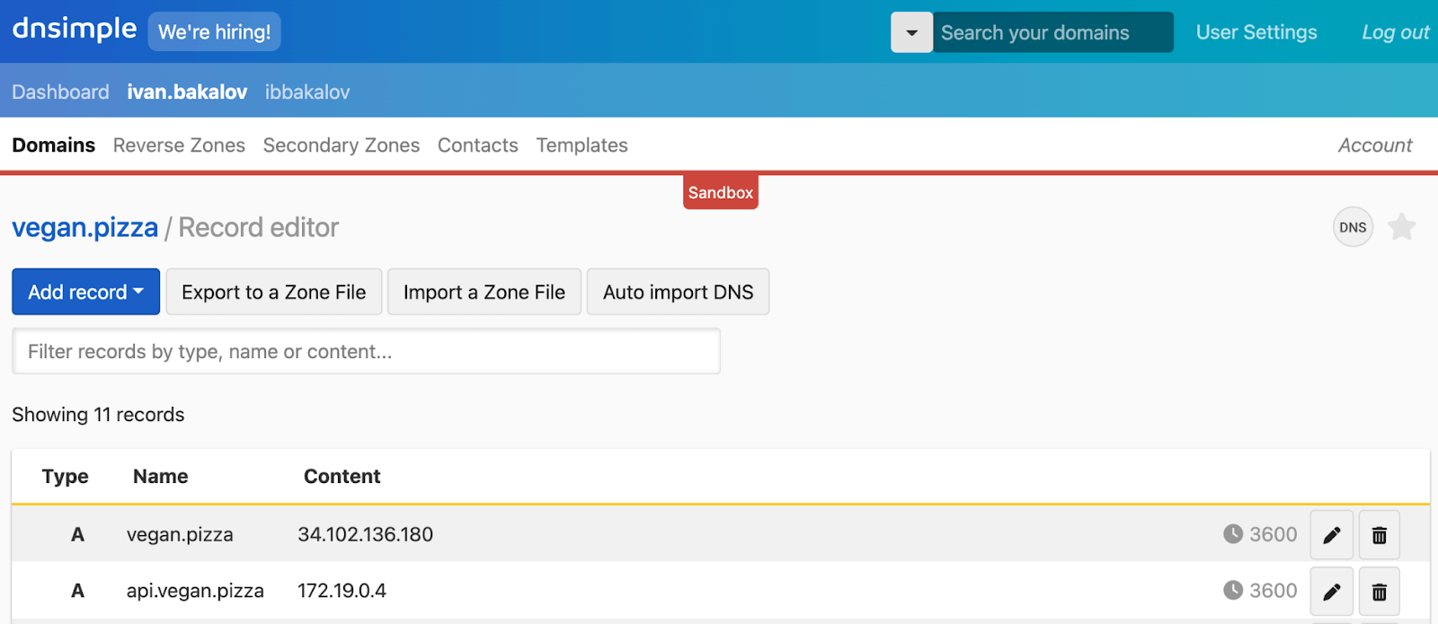 DNSimple interface example